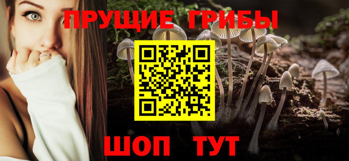 Галлюциногенные грибы мухоморы Пыть-Ях